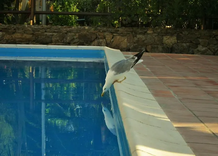 Casale Fonte Di Rose Ferienhaus Capoliveri (Isola d'Elba)