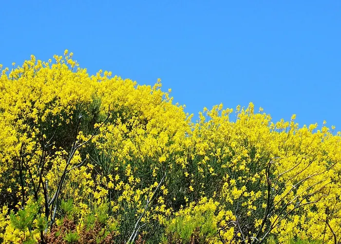 Casale Fonte Di Rose Ferienhaus Capoliveri (Isola d'Elba)