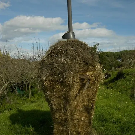 Casale Fonte Di Rose Nyaraló