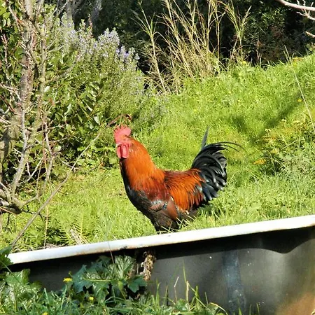 Casale Fonte Di Rose *