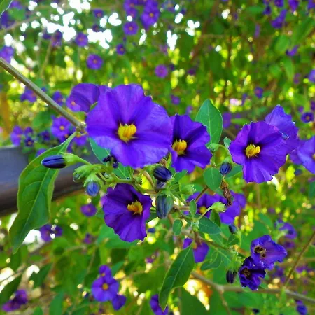 Nyaraló Casale Fonte Di Rose *