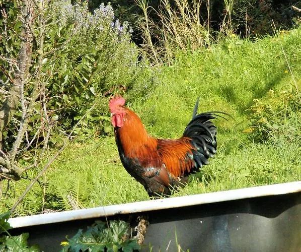 Casale Fonte Di Rose *